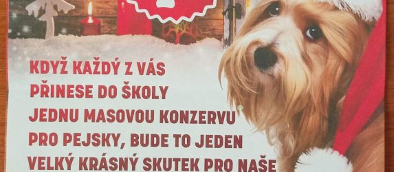 Sbírka pro psí útulek