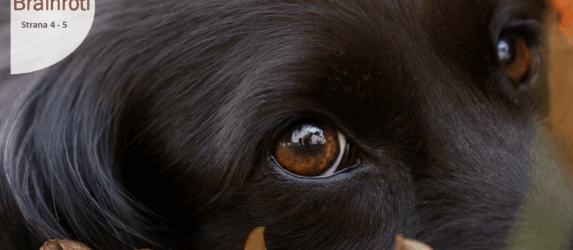 První číslo Zajíčka školního roku 2025/2026